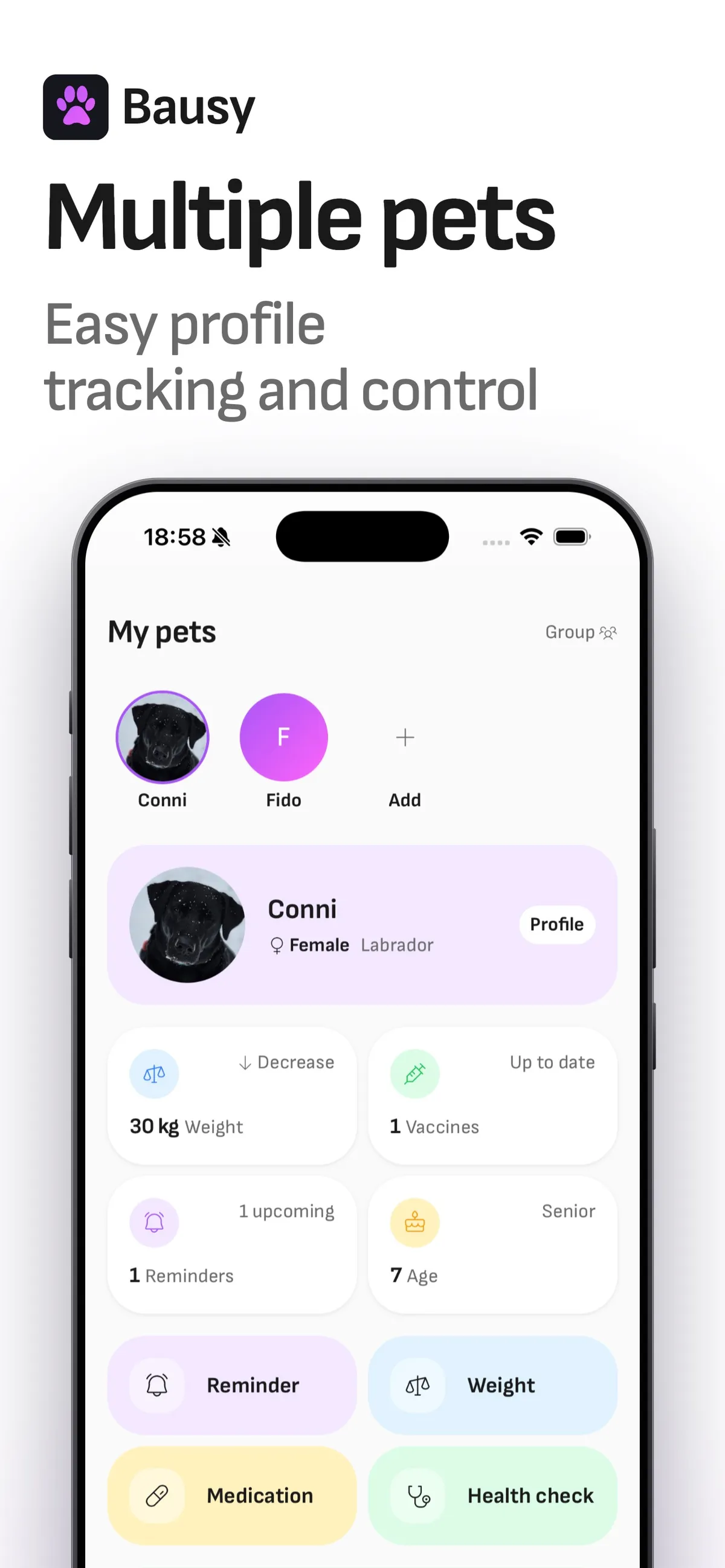 Bausy published pet health interface.