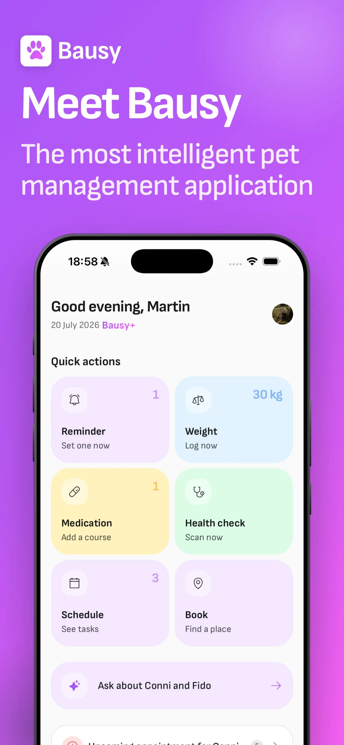 Bausy pet-care app showing its public product interface.